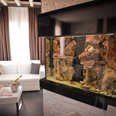 索科特梅早餐酒店 3* 索科矿泉村