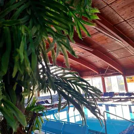 索科特梅早餐酒店 酒店 索科矿泉村