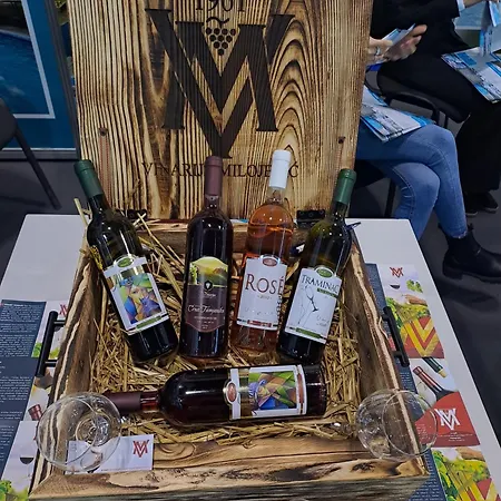 索科特梅早餐酒店 酒店